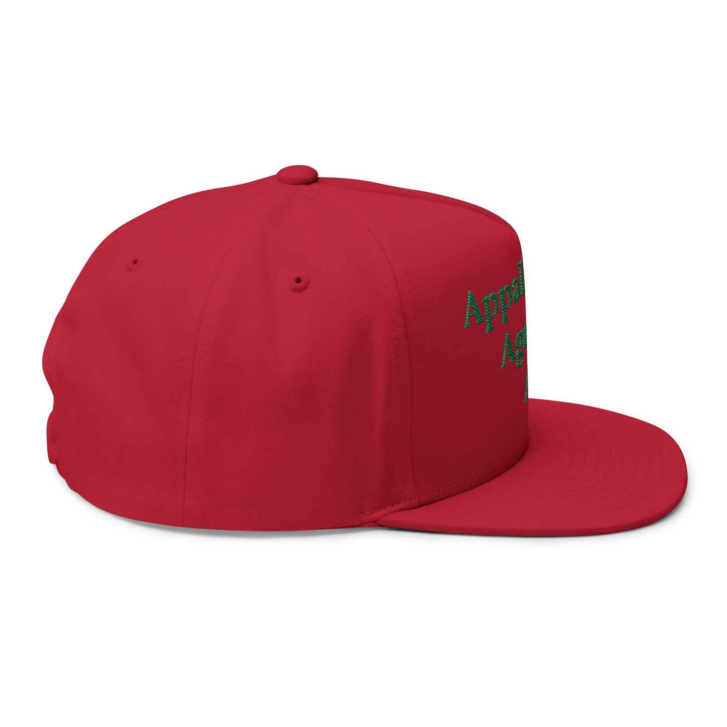ANTI AI - NO AI hat with Embroidered "Appalachian Against AI" Flat Bill Cap — Statement Hat Against Artificial Intelligence WOMAN OWNED BUSIINESS