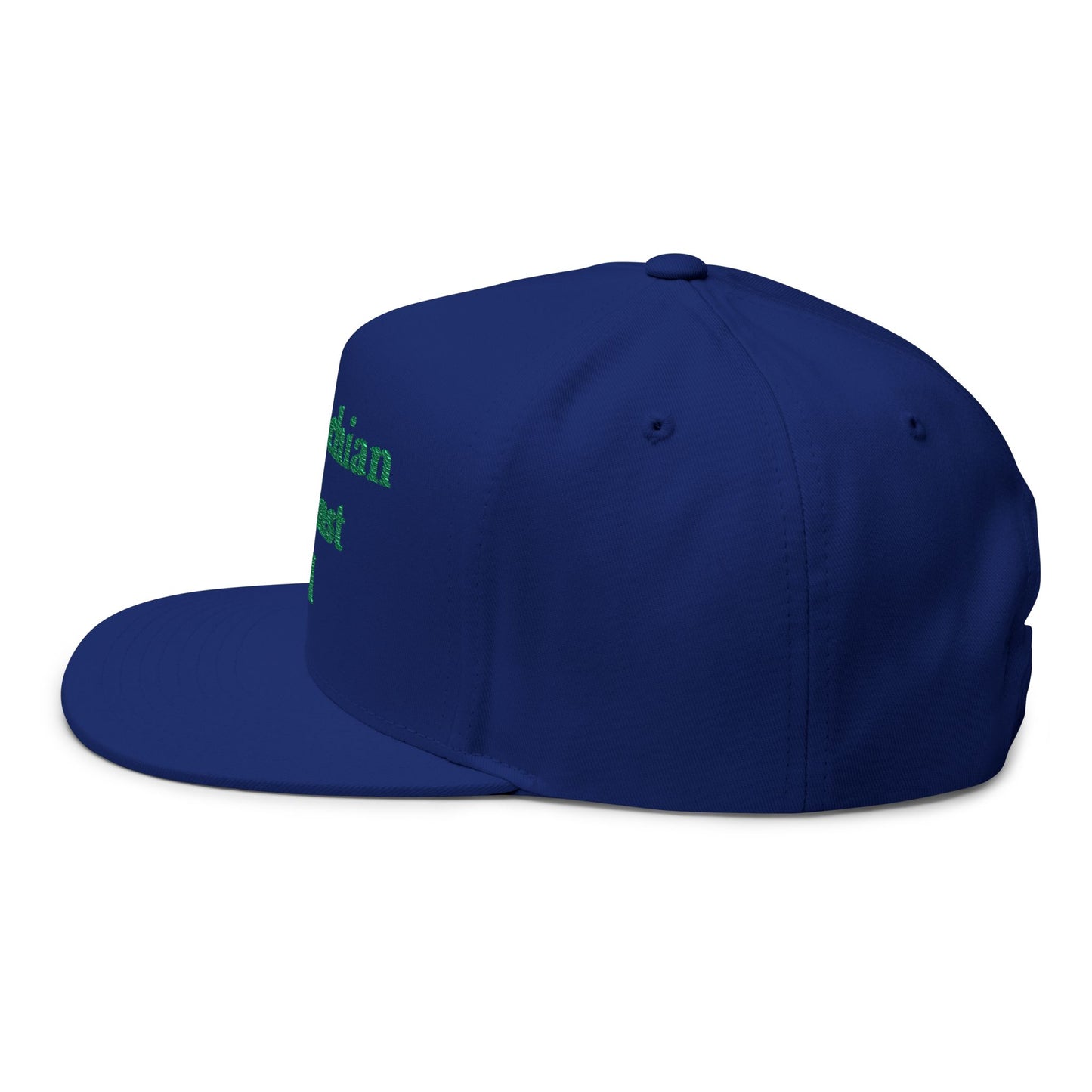 ANTI AI - NO AI hat with Embroidered "Appalachian Against AI" Flat Bill Cap — Statement Hat Against Artificial Intelligence WOMAN OWNED BUSIINESS