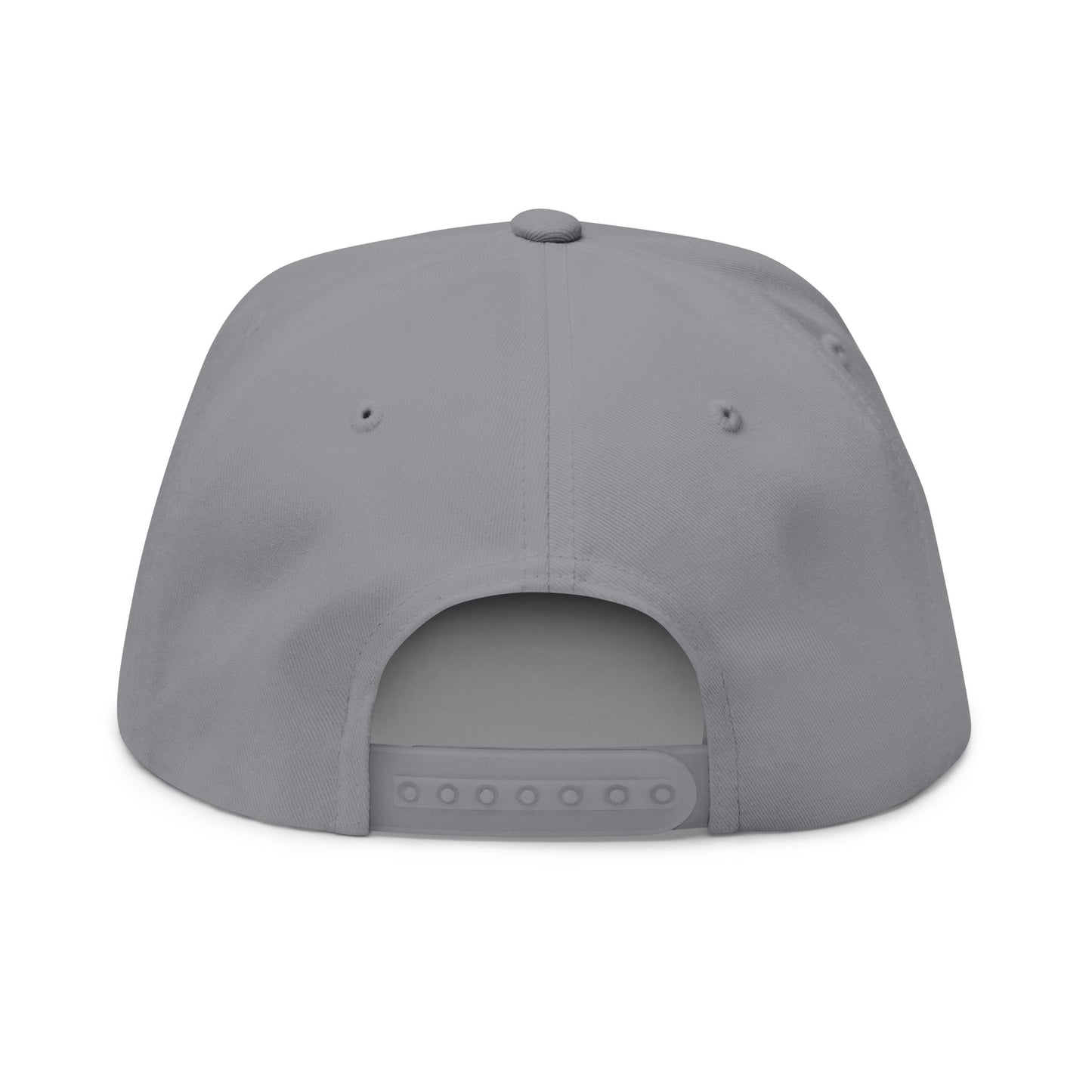ANTI AI - NO AI hat with Embroidered "Appalachian Against AI" Flat Bill Cap — Statement Hat Against Artificial Intelligence WOMAN OWNED BUSIINESS