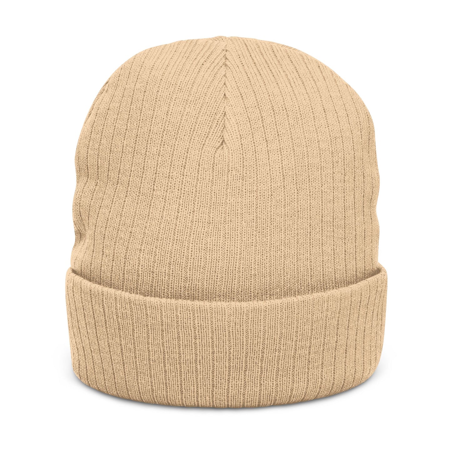 Embroidered 'ANTI AI' Ribbed Knit Beanie NO AI LOW TECH STATEMENT in a Cozy Winter Hat - NO AI - ANTI AI - WOMAN OWNED BUSINESS