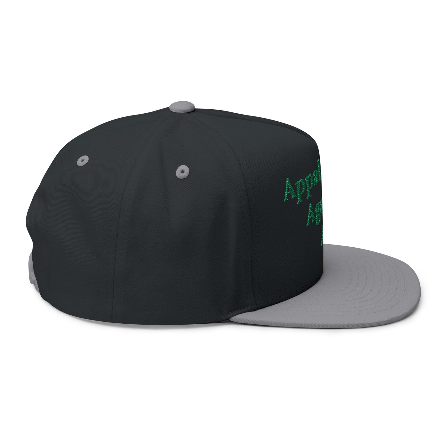 ANTI AI - NO AI hat with Embroidered "Appalachian Against AI" Flat Bill Cap — Statement Hat Against Artificial Intelligence WOMAN OWNED BUSIINESS
