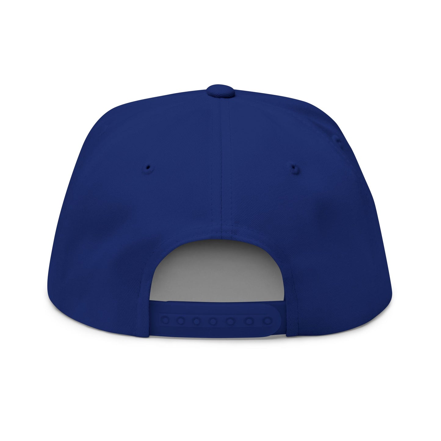 ANTI AI - NO AI hat with Embroidered "Appalachian Against AI" Flat Bill Cap — Statement Hat Against Artificial Intelligence WOMAN OWNED BUSIINESS