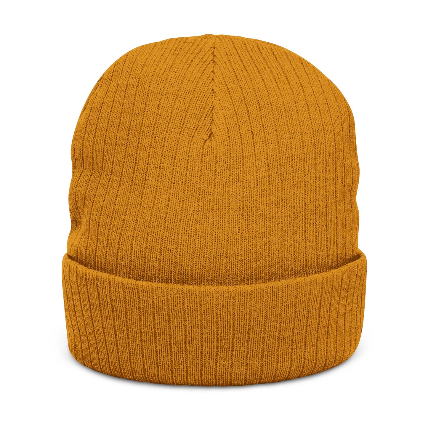 Embroidered 'ANTI AI' Ribbed Knit Beanie NO AI LOW TECH STATEMENT in a Cozy Winter Hat - NO AI - ANTI AI - WOMAN OWNED BUSINESS
