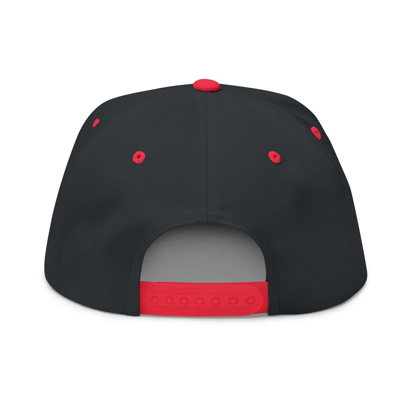 ANTI AI - NO AI hat with Embroidered "Appalachian Against AI" Flat Bill Cap — Statement Hat Against Artificial Intelligence WOMAN OWNED BUSIINESS