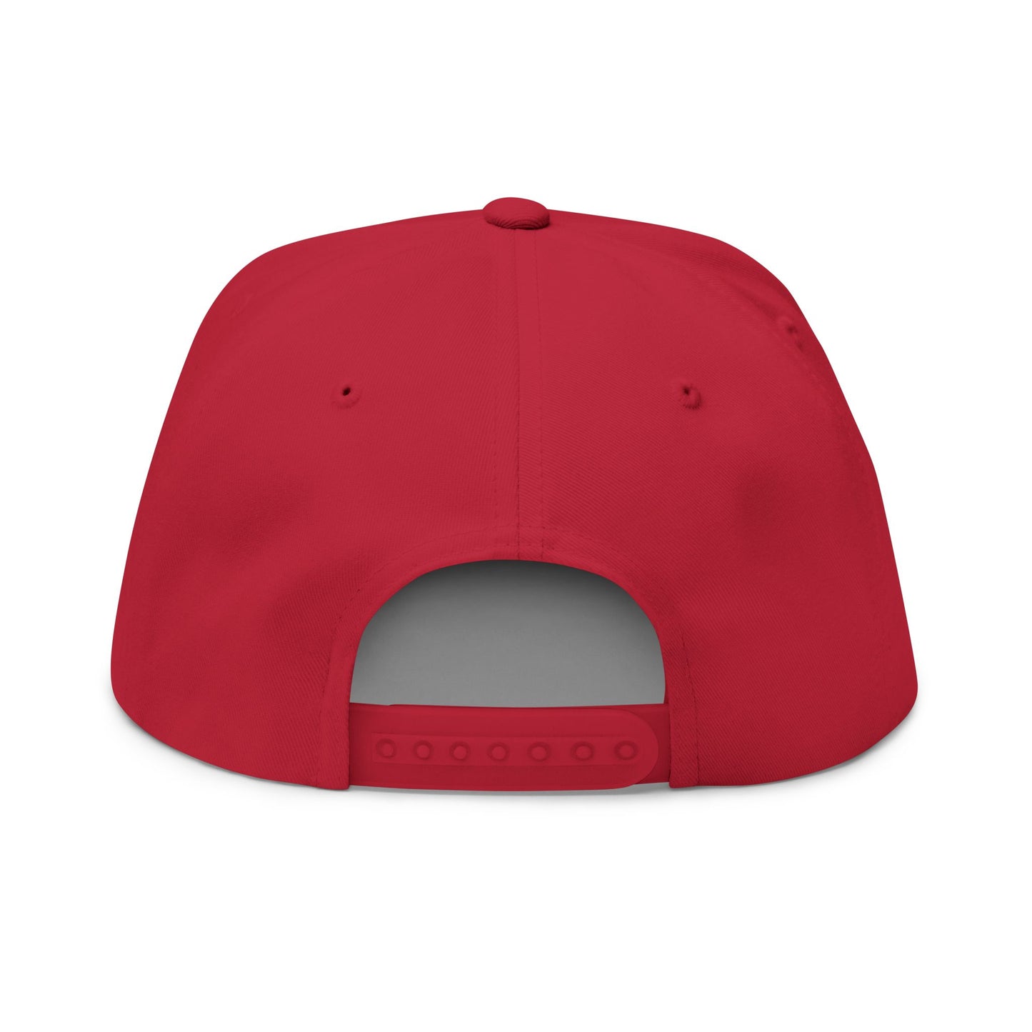 ANTI AI - NO AI hat with Embroidered "Appalachian Against AI" Flat Bill Cap — Statement Hat Against Artificial Intelligence WOMAN OWNED BUSIINESS