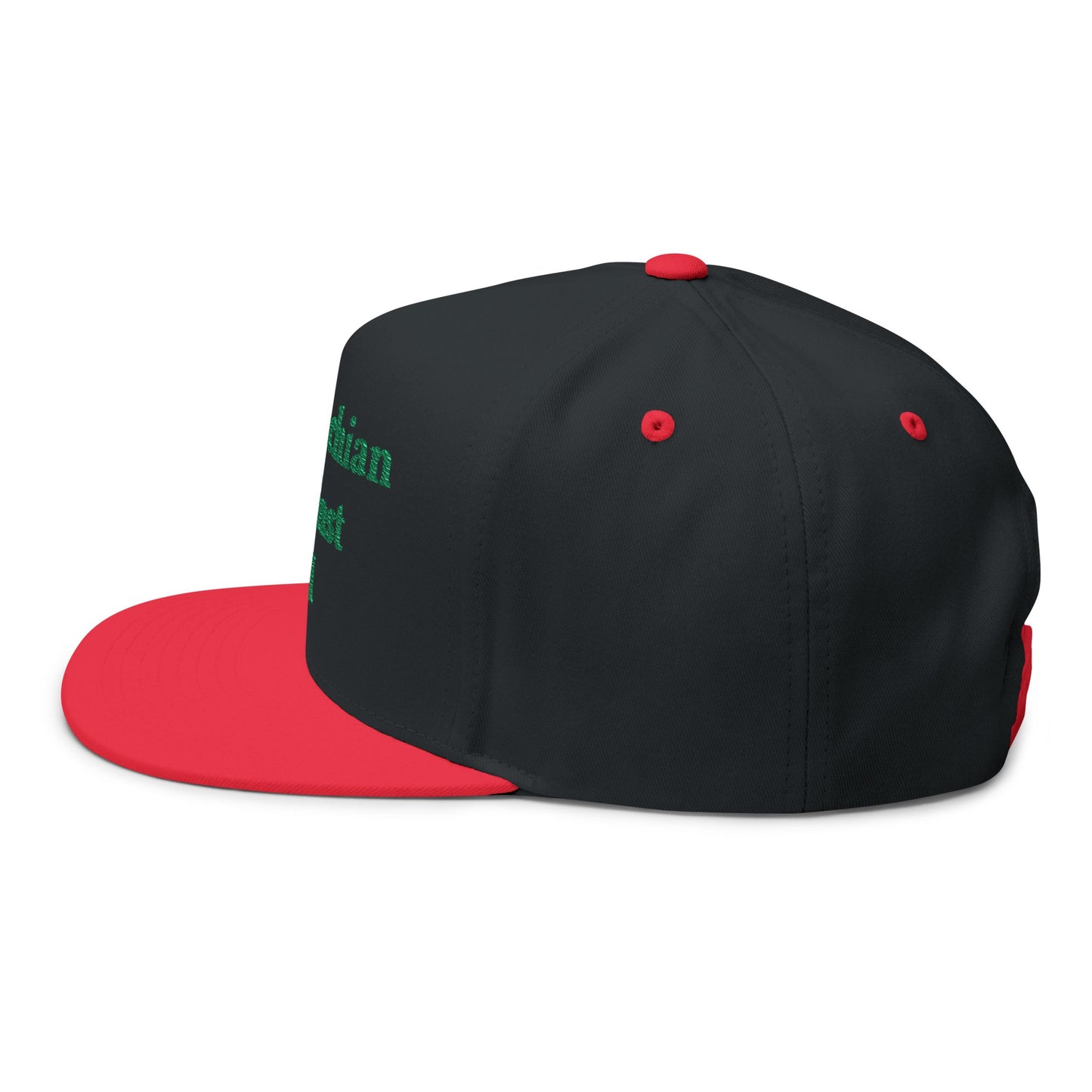 ANTI AI - NO AI hat with Embroidered "Appalachian Against AI" Flat Bill Cap — Statement Hat Against Artificial Intelligence WOMAN OWNED BUSIINESS