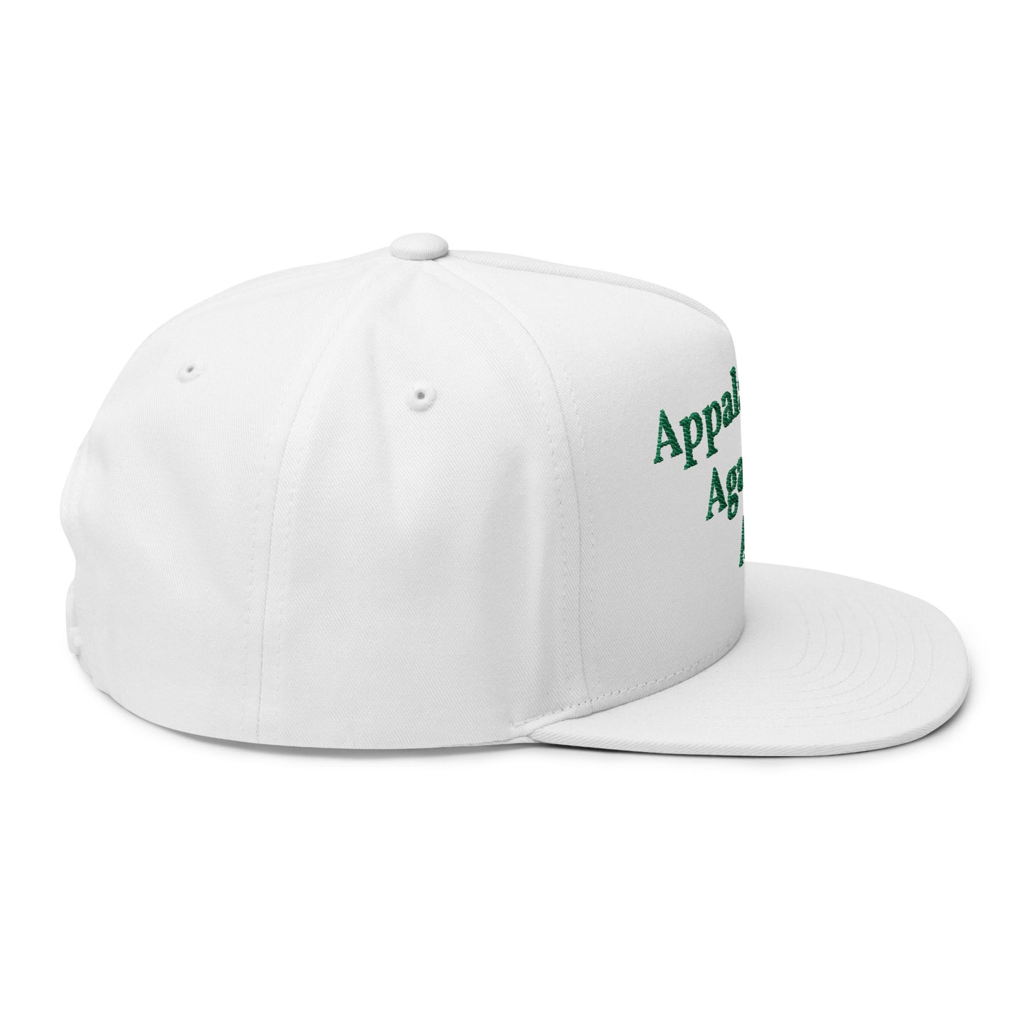 ANTI AI - NO AI hat with Embroidered "Appalachian Against AI" Flat Bill Cap — Statement Hat Against Artificial Intelligence WOMAN OWNED BUSIINESS