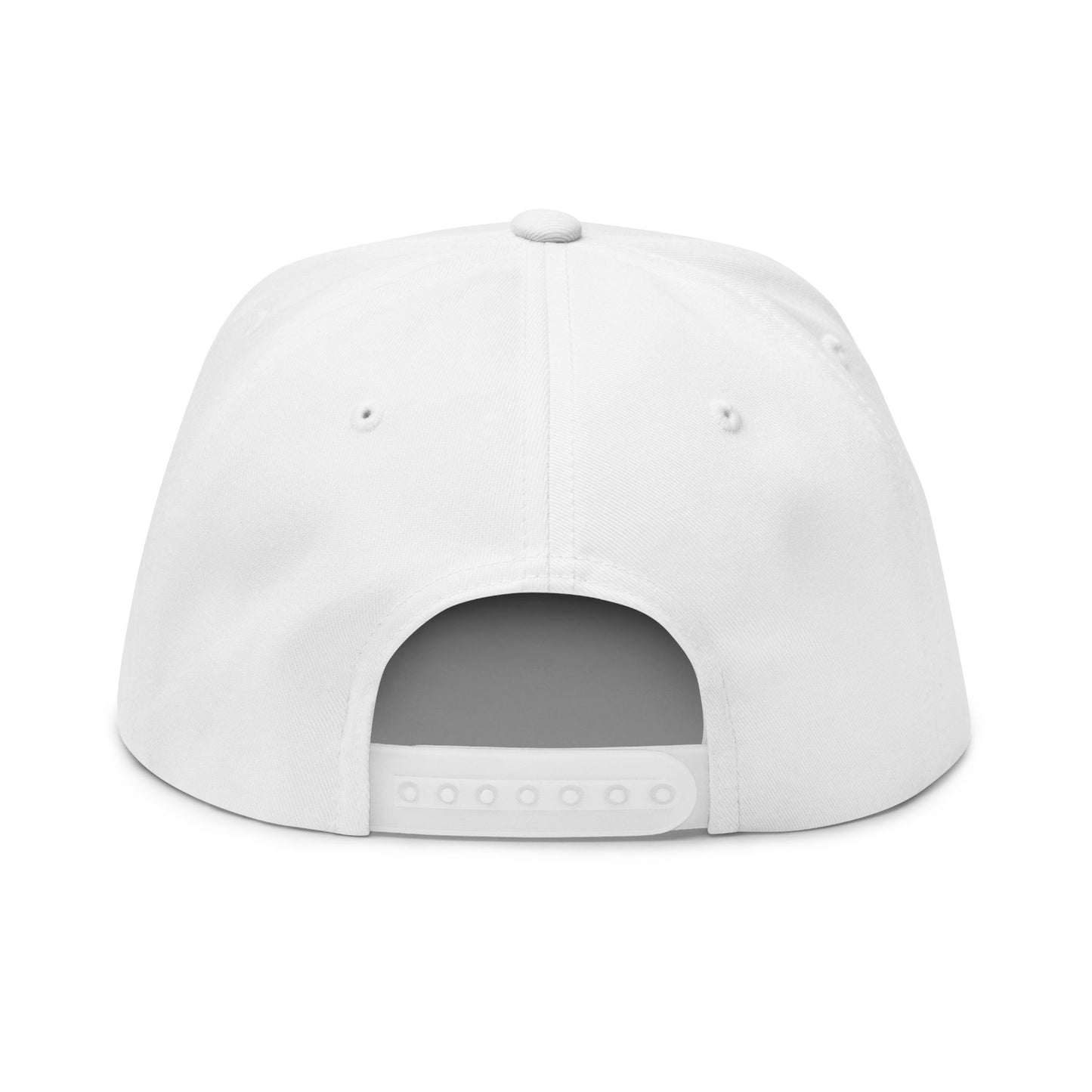 ANTI AI - NO AI hat with Embroidered "Appalachian Against AI" Flat Bill Cap — Statement Hat Against Artificial Intelligence WOMAN OWNED BUSIINESS