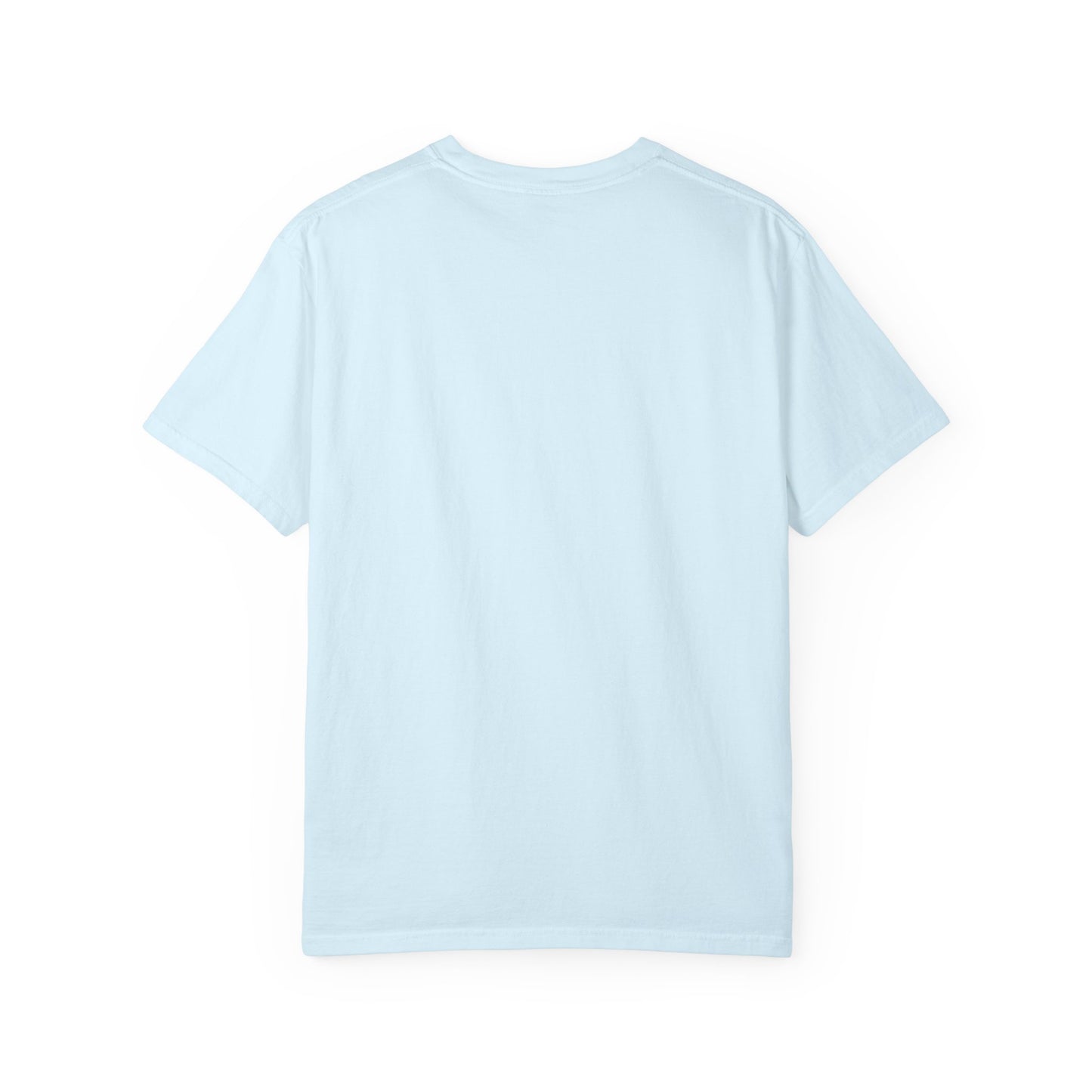 T-shirt in a Rainbow of Colors "I don't go straight, I go gayly forward" LGBTQ+ Pride Gay Lesbian Bisexual shirt WOMAN OWNED BUSINESS