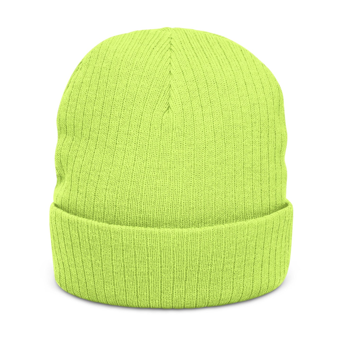 Embroidered 'ANTI AI' Ribbed Knit Beanie NO AI LOW TECH STATEMENT in a Cozy Winter Hat - NO AI - ANTI AI - WOMAN OWNED BUSINESS