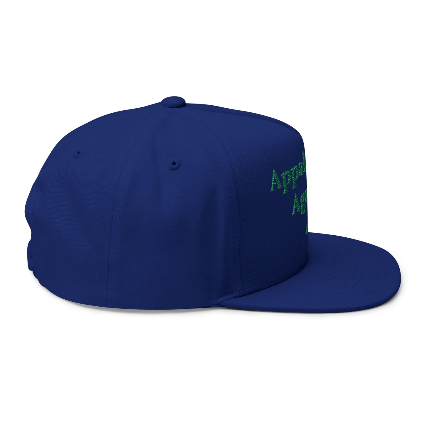 ANTI AI - NO AI hat with Embroidered "Appalachian Against AI" Flat Bill Cap — Statement Hat Against Artificial Intelligence WOMAN OWNED BUSIINESS