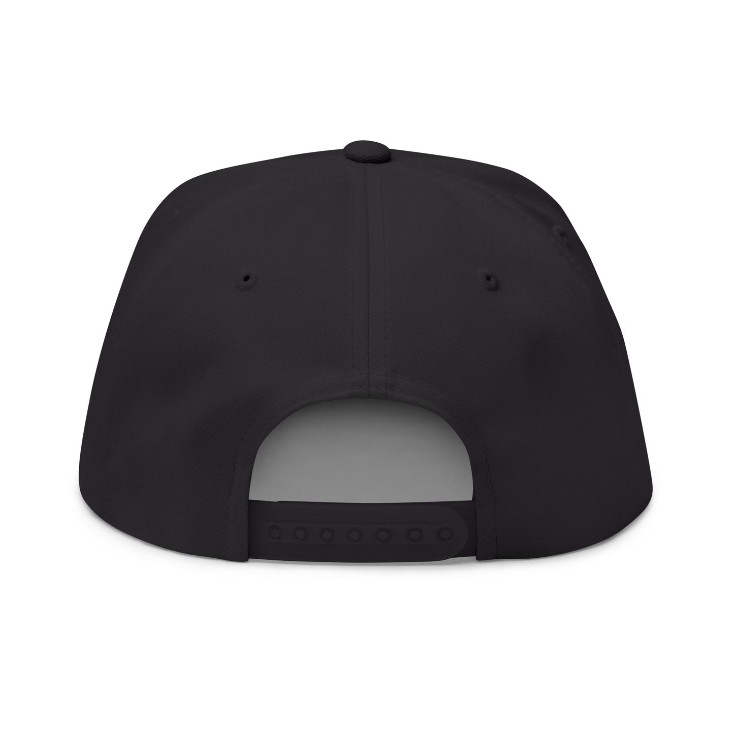ANTI AI - NO AI hat with Embroidered "Appalachian Against AI" Flat Bill Cap — Statement Hat Against Artificial Intelligence WOMAN OWNED BUSIINESS