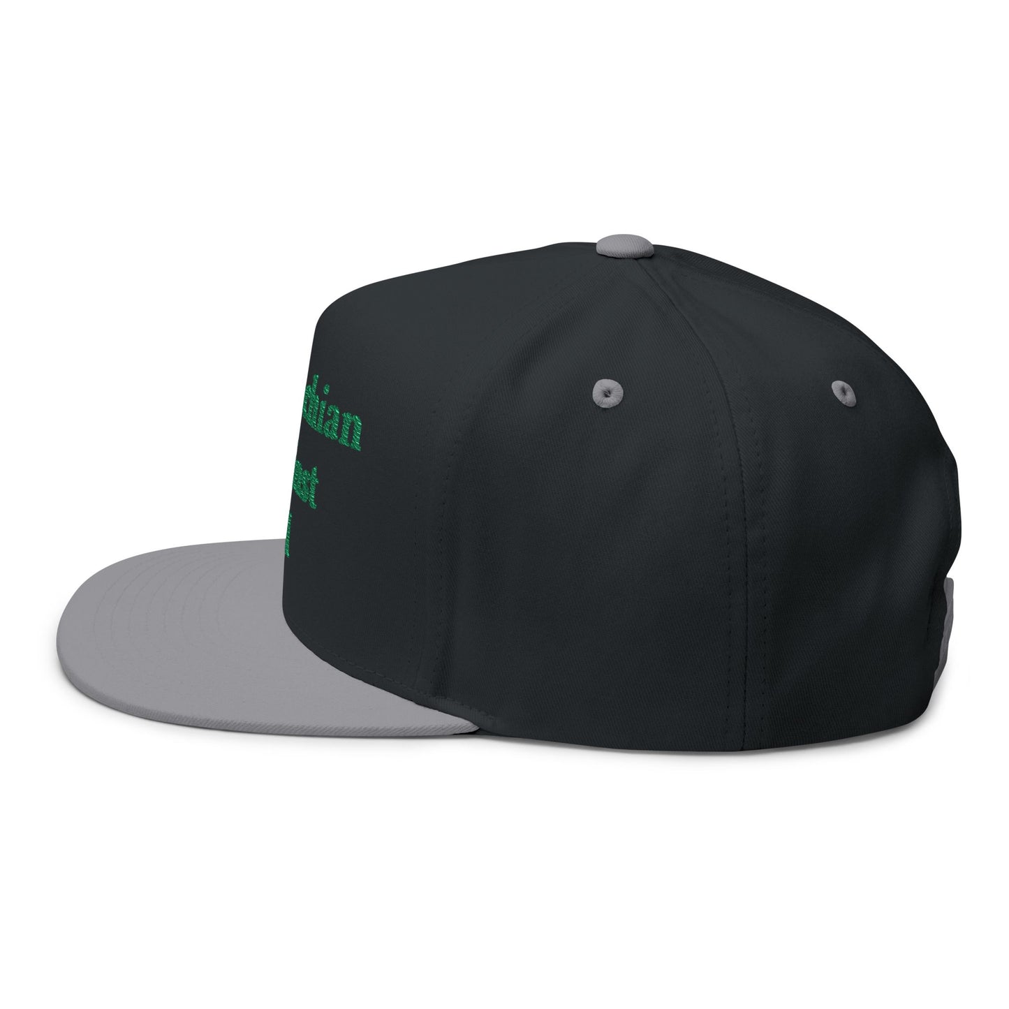 ANTI AI - NO AI hat with Embroidered "Appalachian Against AI" Flat Bill Cap — Statement Hat Against Artificial Intelligence WOMAN OWNED BUSIINESS