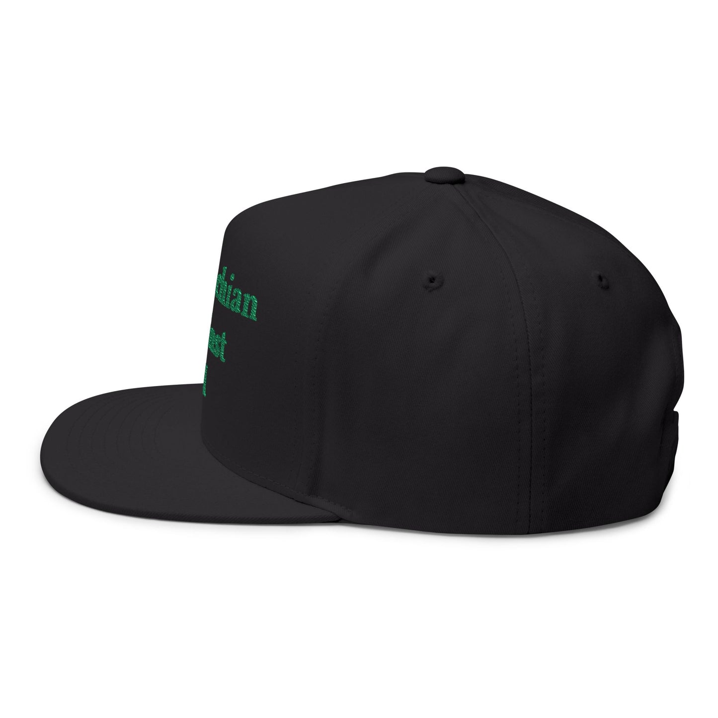 ANTI AI - NO AI hat with Embroidered "Appalachian Against AI" Flat Bill Cap — Statement Hat Against Artificial Intelligence WOMAN OWNED BUSIINESS