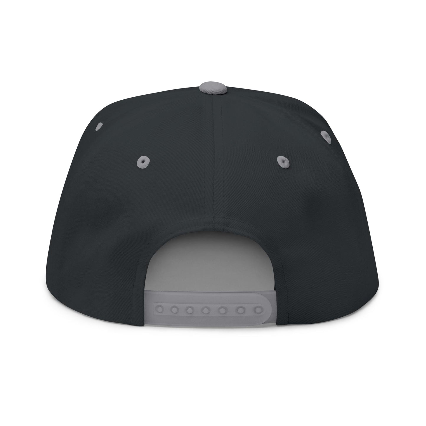 ANTI AI - NO AI hat with Embroidered "Appalachian Against AI" Flat Bill Cap — Statement Hat Against Artificial Intelligence WOMAN OWNED BUSIINESS