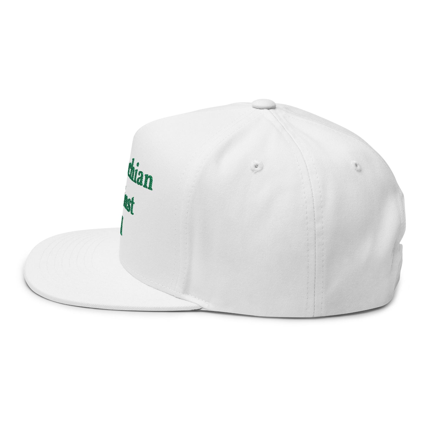 ANTI AI - NO AI hat with Embroidered "Appalachian Against AI" Flat Bill Cap — Statement Hat Against Artificial Intelligence WOMAN OWNED BUSIINESS