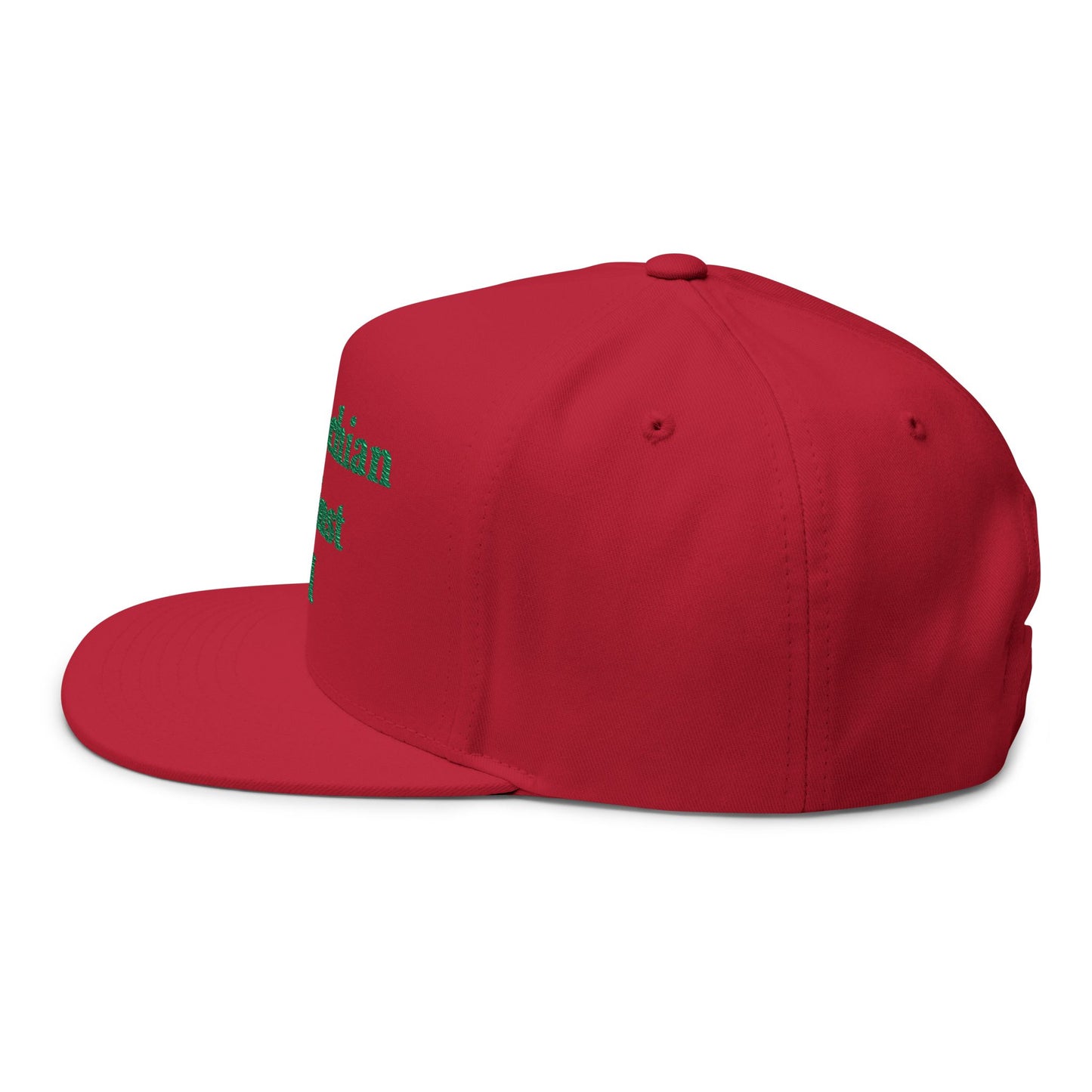ANTI AI - NO AI hat with Embroidered "Appalachian Against AI" Flat Bill Cap — Statement Hat Against Artificial Intelligence WOMAN OWNED BUSIINESS