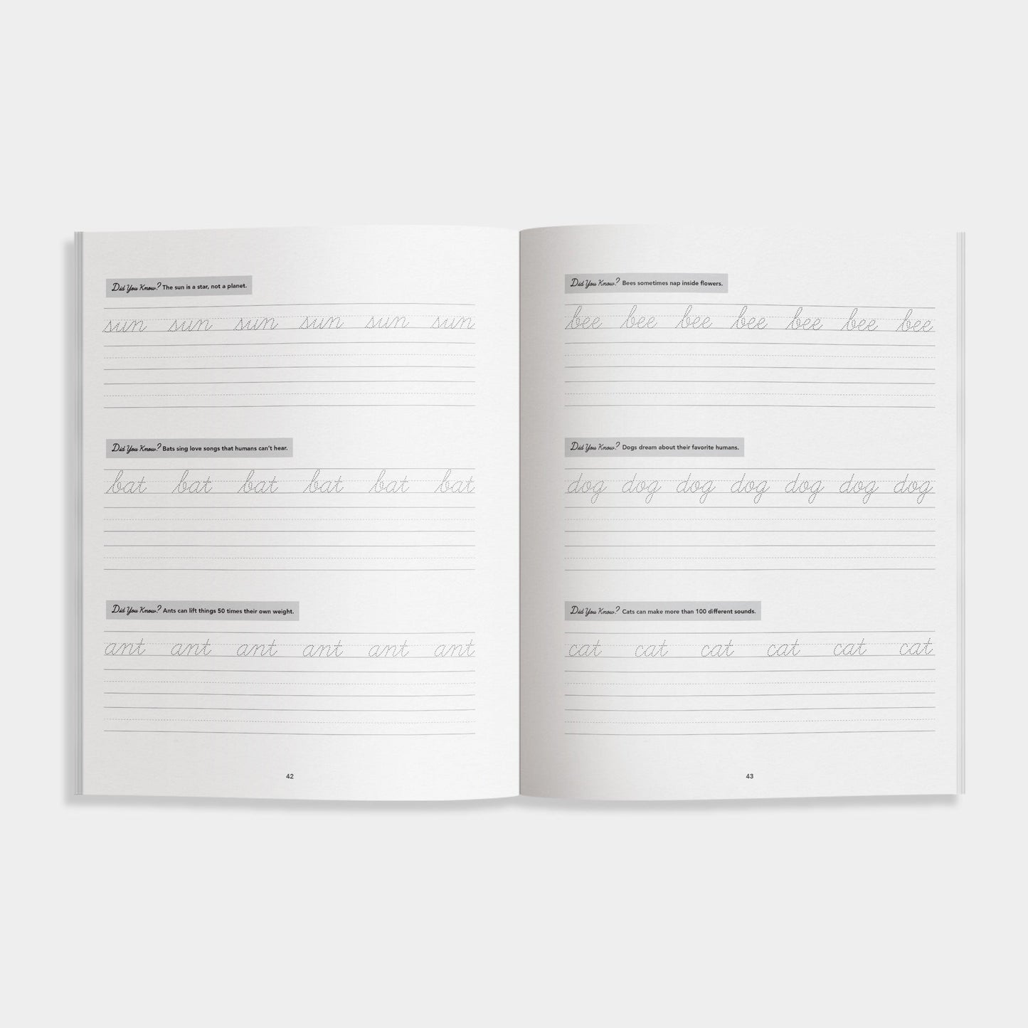 Cursive Handwriting Workbook
